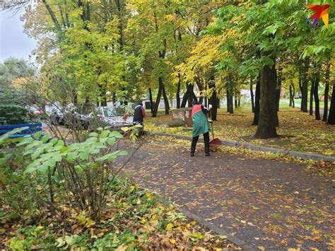 Работа в Беларуси сегодня, 125000+ вакансий .